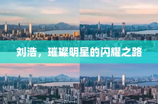 刘浩，璀璨明星的闪耀之路