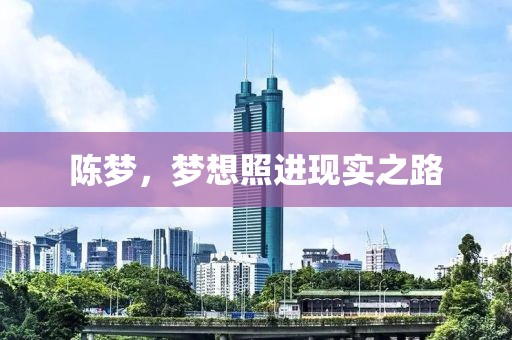 陈梦，梦想照进现实之路