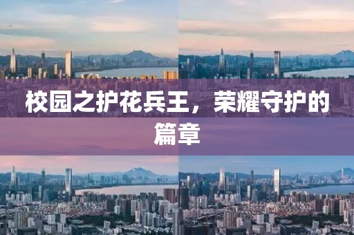 校园之护花兵王，荣耀守护的篇章