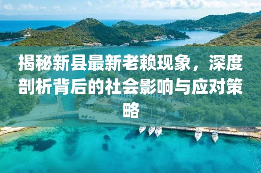 揭秘新县最新老赖现象，深度剖析背后的社会影响与应对策略