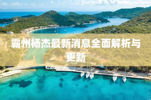 霸州杨杰最新消息全面解析与更新