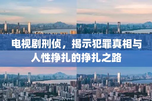 电视剧刑侦，揭示犯罪真相与人性挣扎的挣扎之路