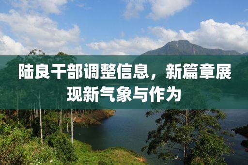 陆良干部调整信息，新篇章展现新气象与作为