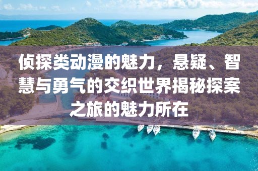 侦探类动漫的魅力，悬疑、智慧与勇气的交织世界揭秘探案之旅的魅力所在