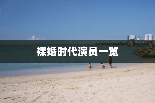 裸婚时代演员一览