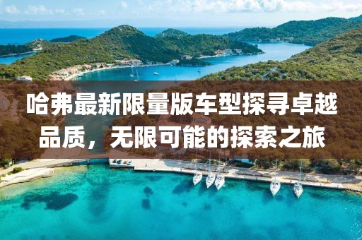 哈弗最新限量版车型探寻卓越品质，无限可能的探索之旅