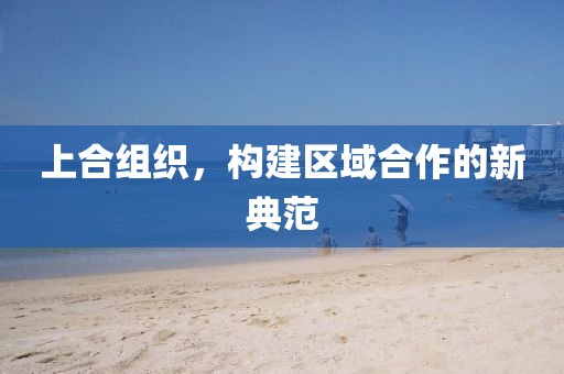 上合组织，构建区域合作的新典范