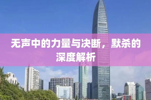 无声中的力量与决断，默杀的深度解析