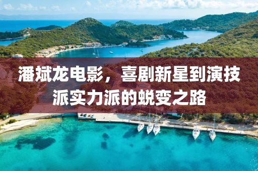 潘斌龙电影，喜剧新星到演技派实力派的蜕变之路