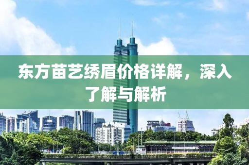 东方苗艺绣眉价格详解，深入了解与解析