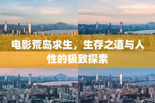 电影荒岛求生，生存之道与人性的极致探索