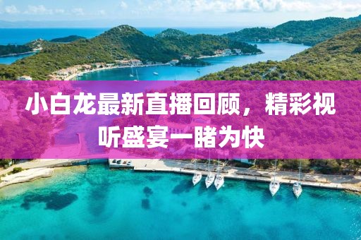 小白龙最新直播回顾，精彩视听盛宴一睹为快