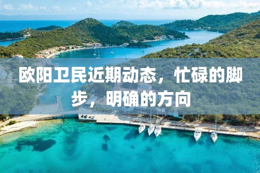 欧阳卫民近期动态，忙碌的脚步，明确的方向