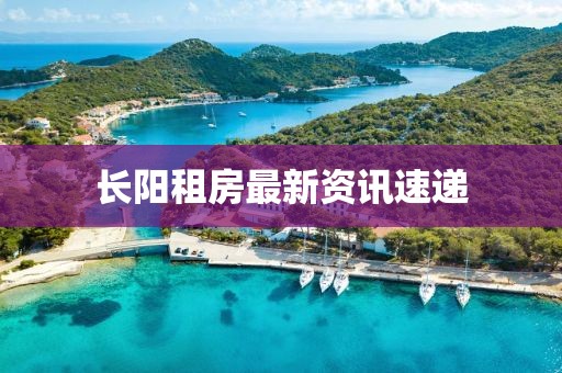 长阳租房最新资讯速递
