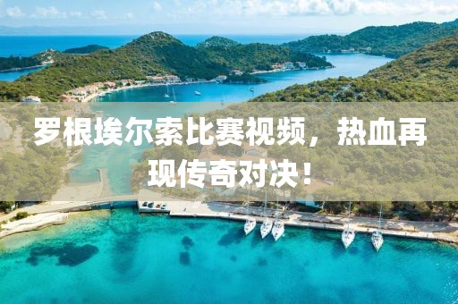 罗根埃尔索比赛视频，热血再现传奇对决！