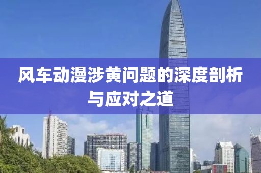 风车动漫涉黄问题的深度剖析与应对之道