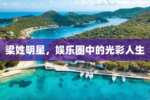 梁姓明星，娱乐圈中的光彩人生