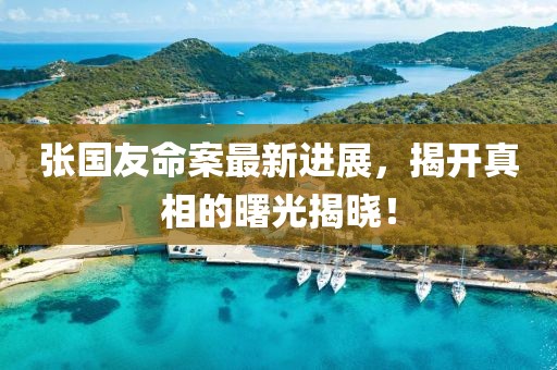 张国友命案最新进展，揭开真相的曙光揭晓！