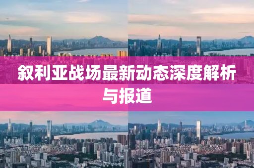 叙利亚战场最新动态深度解析与报道