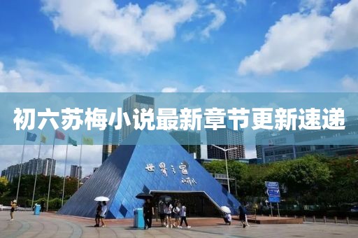 初六苏梅小说最新章节更新速递