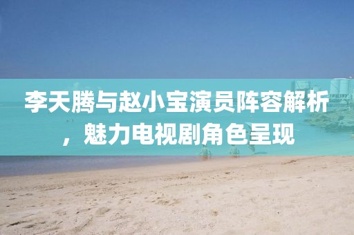 李天腾与赵小宝演员阵容解析，魅力电视剧角色呈现