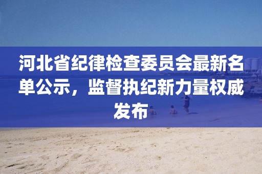 河北省纪律检查委员会最新名单公示，监督执纪新力量权威发布