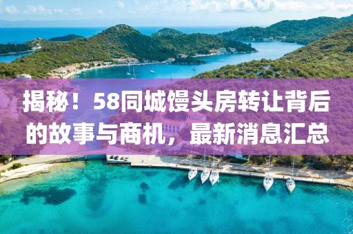 揭秘！58同城馒头房转让背后的故事与商机，最新消息汇总