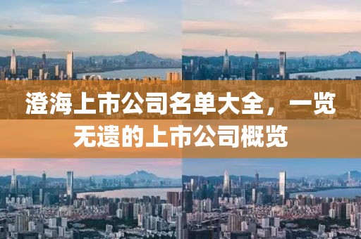 澄海上市公司名单大全，一览无遗的上市公司概览