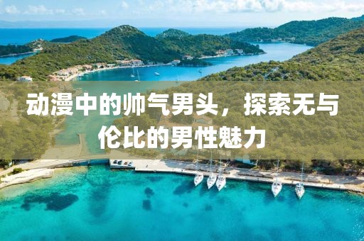 动漫中的帅气男头，探索无与伦比的男性魅力