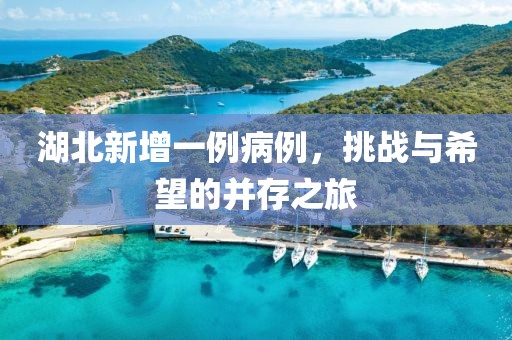 湖北新增一例病例，挑战与希望的并存之旅