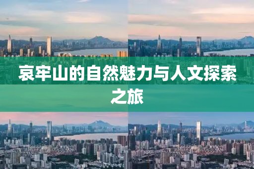 哀牢山的自然魅力与人文探索之旅