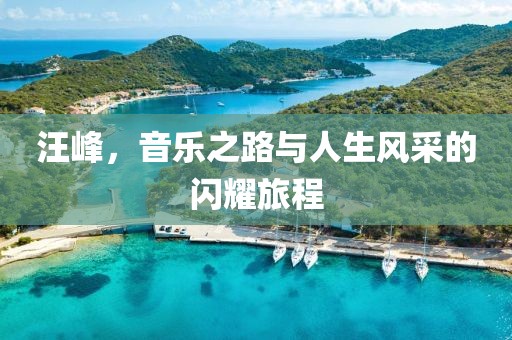 汪峰，音乐之路与人生风采的闪耀旅程