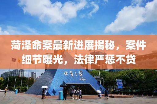 维塔 第10页