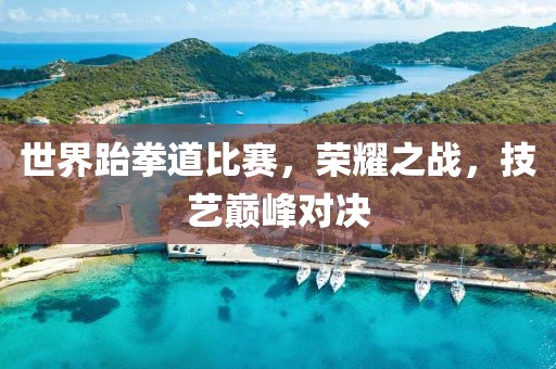 世界跆拳道比赛，荣耀之战，技艺巅峰对决