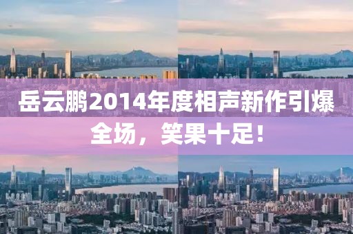 岳云鹏2014年度相声新作引爆全场，笑果十足！