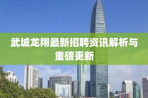 武城龙翔最新招聘资讯解析与重磅更新