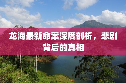 龙海最新命案深度剖析，悲剧背后的真相