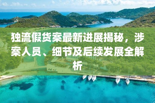 独流假货案最新进展揭秘，涉案人员、细节及后续发展全解析