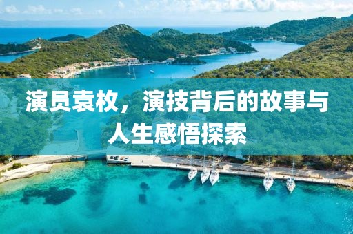 演员袁枚，演技背后的故事与人生感悟探索