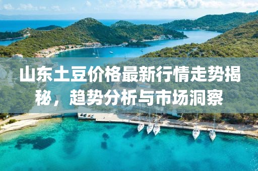 山东土豆价格最新行情走势揭秘，趋势分析与市场洞察