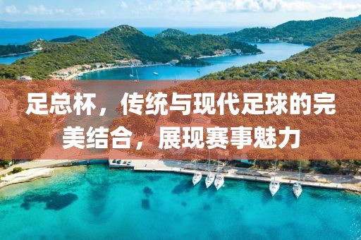 足总杯，传统与现代足球的完美结合，展现赛事魅力