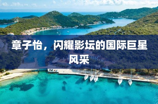 章子怡，闪耀影坛的国际巨星风采