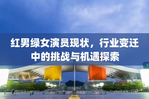 红男绿女演员现状，行业变迁中的挑战与机遇探索