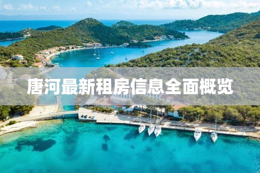 唐河最新租房信息全面概览
