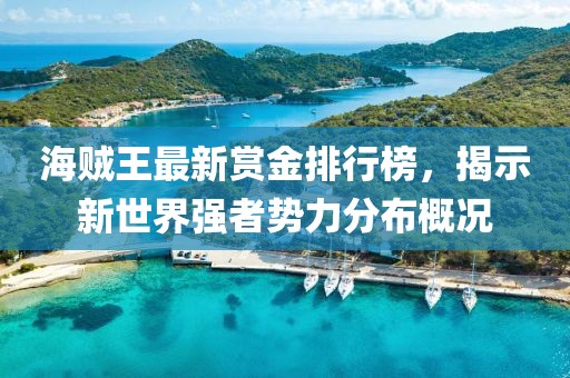 海贼王最新赏金排行榜，揭示新世界强者势力分布概况