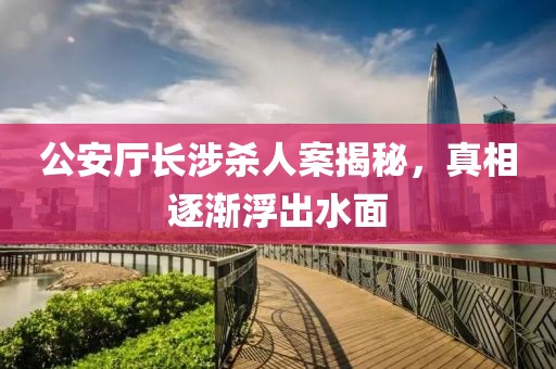 公安厅长涉杀人案揭秘，真相逐渐浮出水面