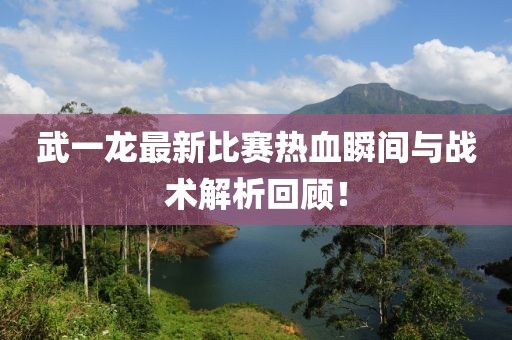 武一龙最新比赛热血瞬间与战术解析回顾！
