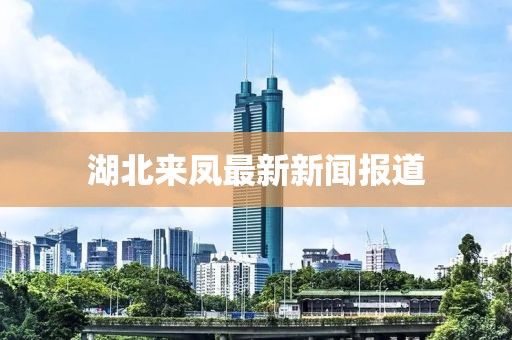 湖北来凤最新新闻报道