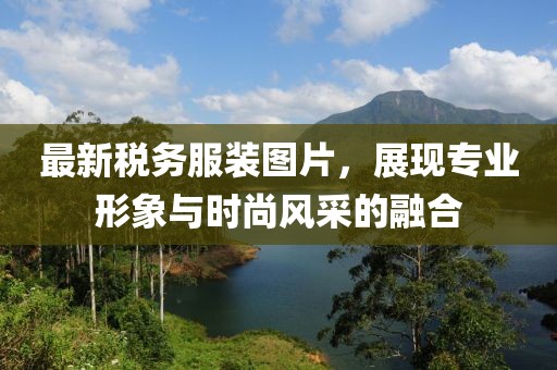 最新税务服装图片，展现专业形象与时尚风采的融合