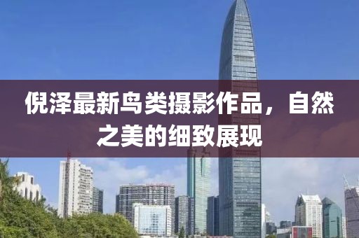 倪泽最新鸟类摄影作品，自然之美的细致展现